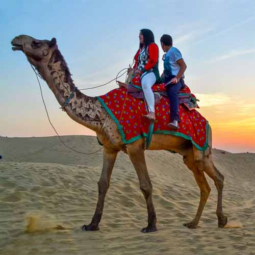 Camel Safari Jaisalmer